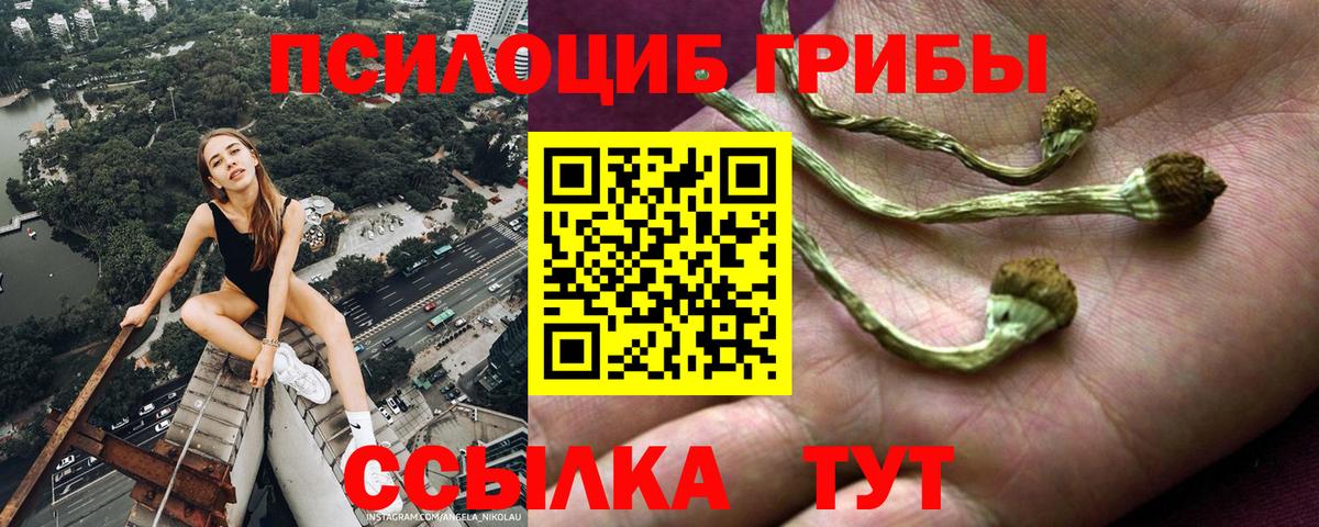 Галлюциногенные грибы ЛСД Астрахань