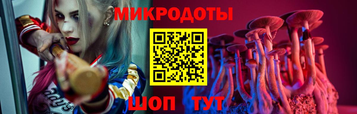 Псилоцибиновые грибы Psilocybe  Галлюциногенные грибы мухоморы  Вход с VPN  Астрахань 